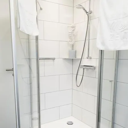 Ndd Sanddollar - 03 *