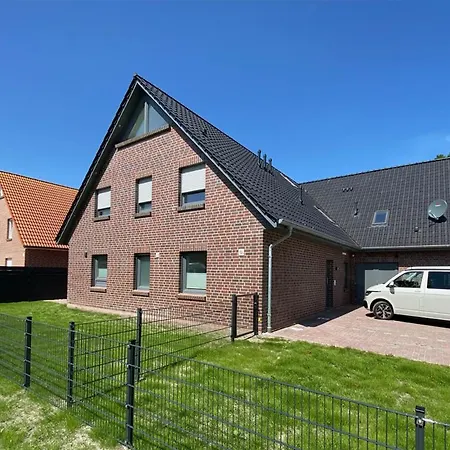 Ndd Sanddollar - 03 * Norden