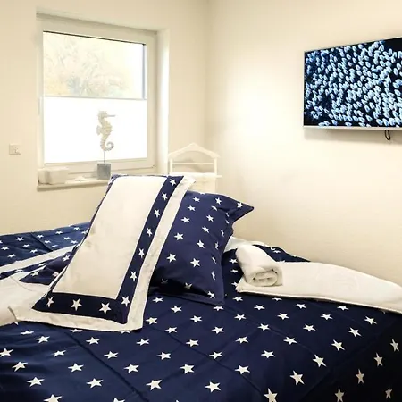 Ndd Sanddollar - 03 *